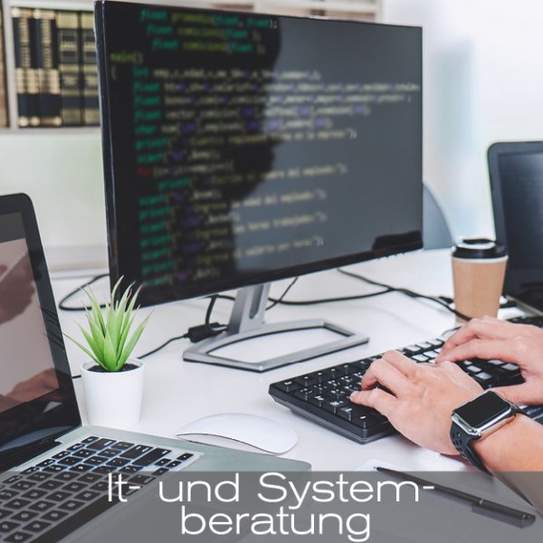 IT-/ Systemberatung